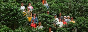 Santa Rosa de Cabal celebró récord el día Nacional del café